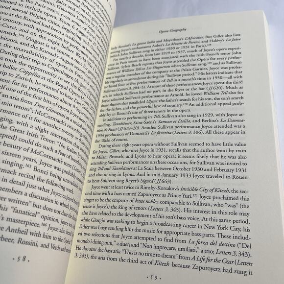 Joyce's Grand Operoar Opera In Finnegan's Wake Paperback Book Matthew Hodgart - Picture 7 of 9